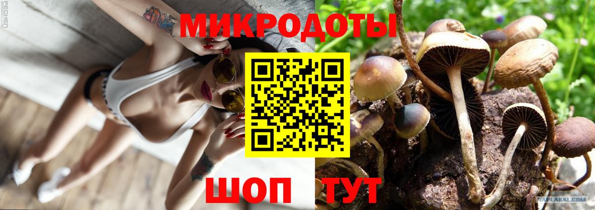Псилоцибиновые грибы мухоморы  Вход с VPN  Бердск 