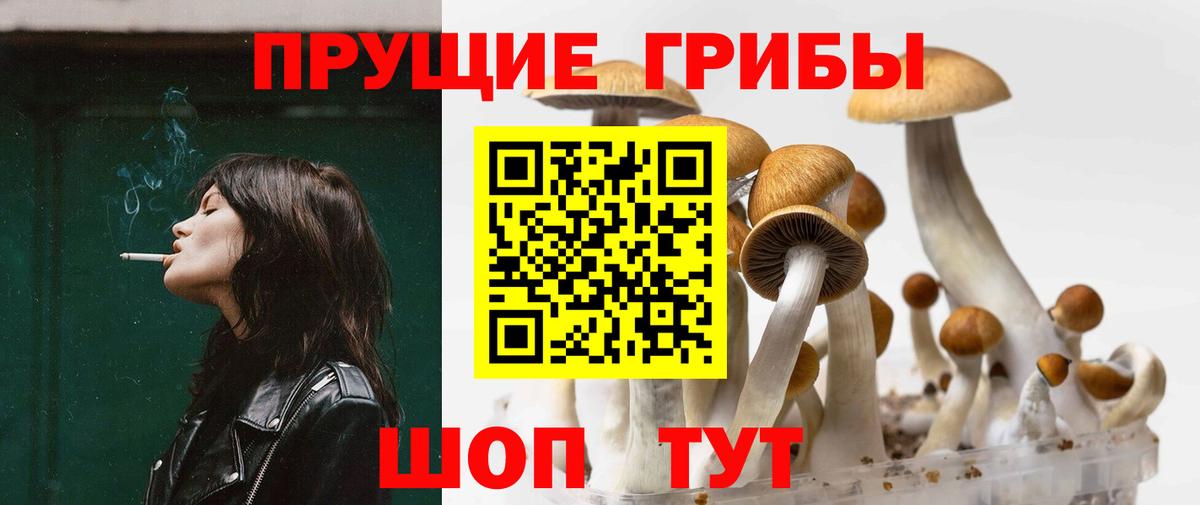 Галлюциногенные грибы мухоморы Бердск